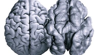Useful nuts for brain activity